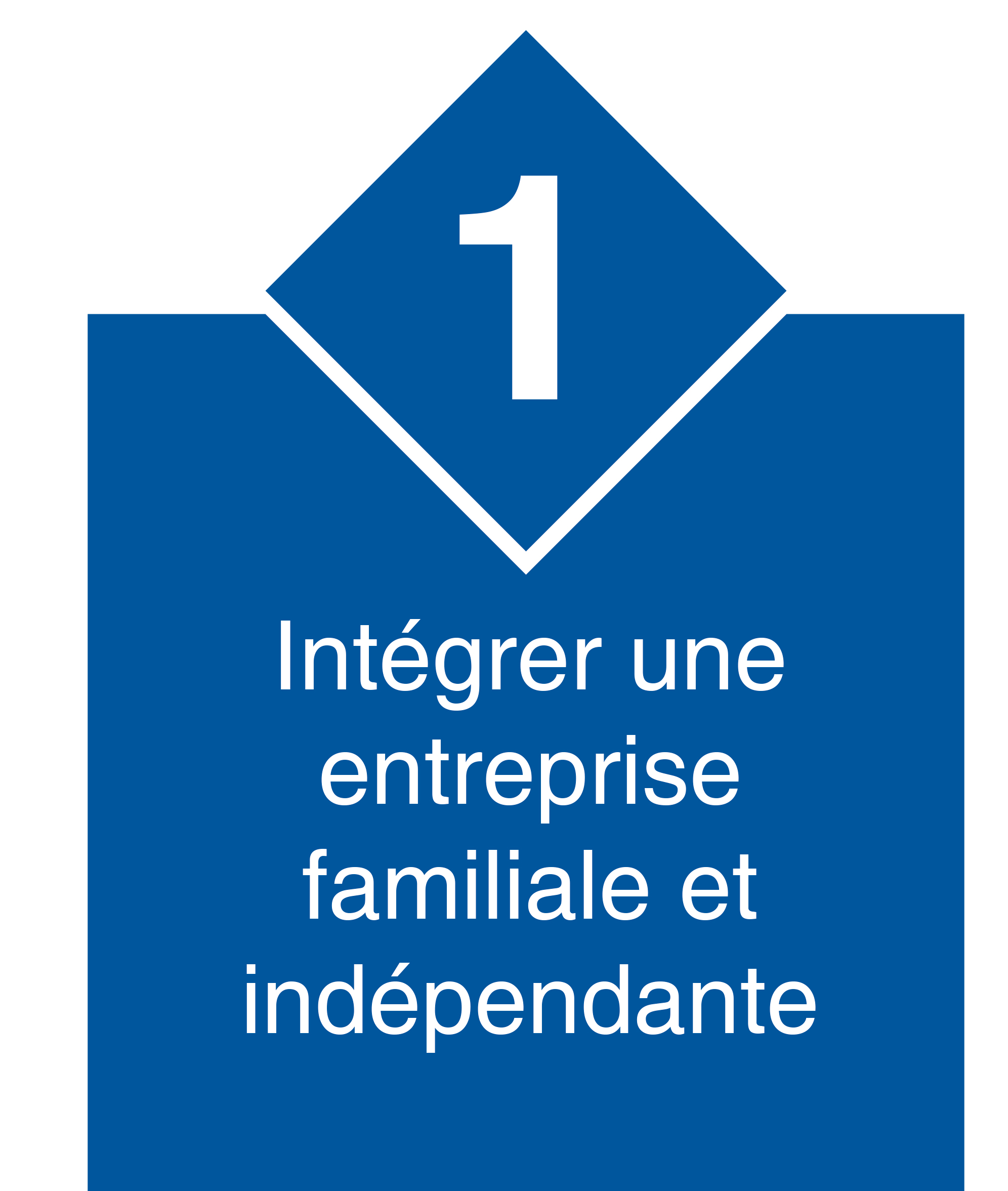 Intégrer une entreprise leader de son métier